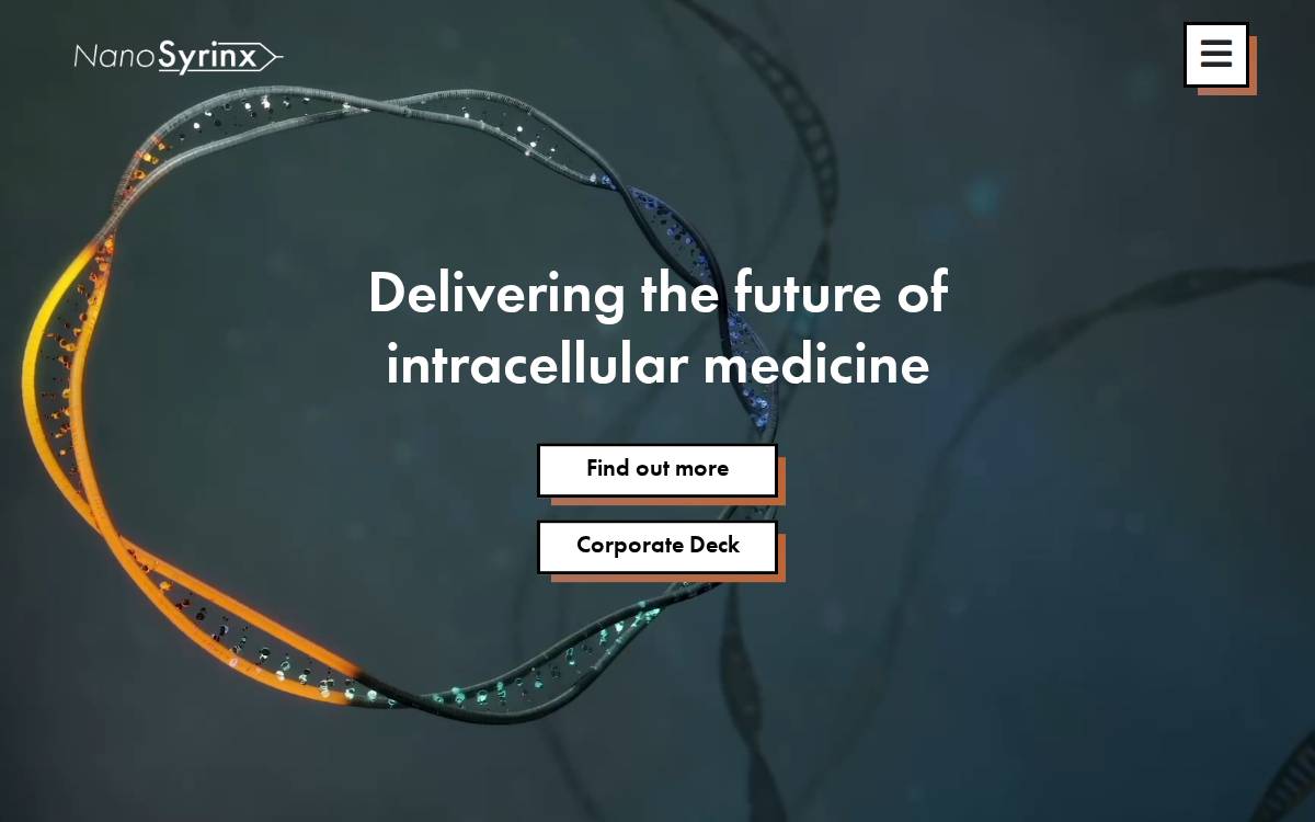 NanoSyrinx Seed website preview