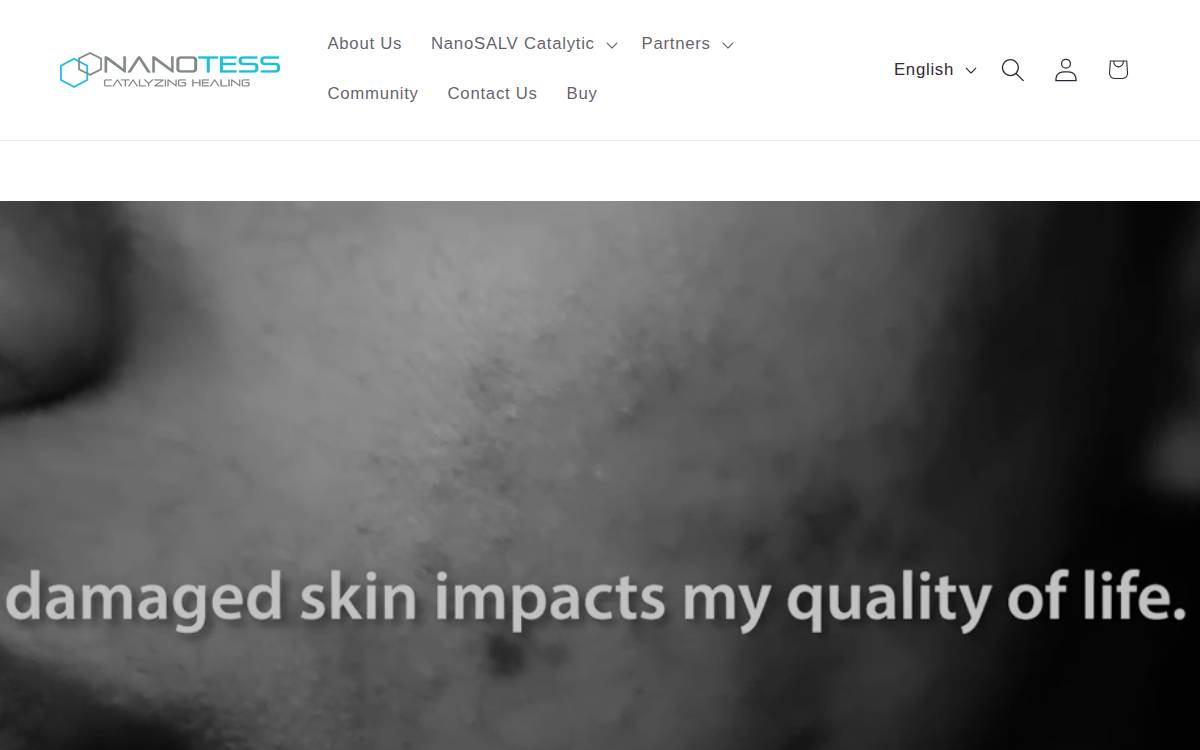 Nanotess website preview