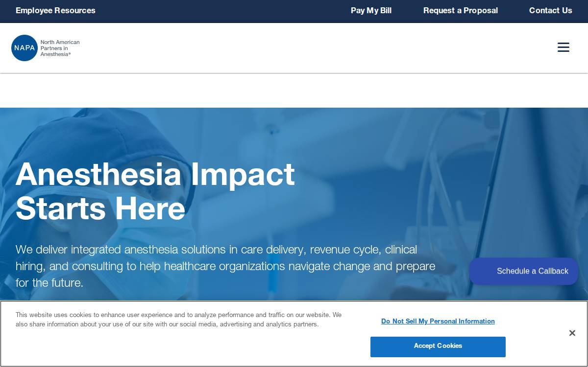 Napaanesthesia website preview