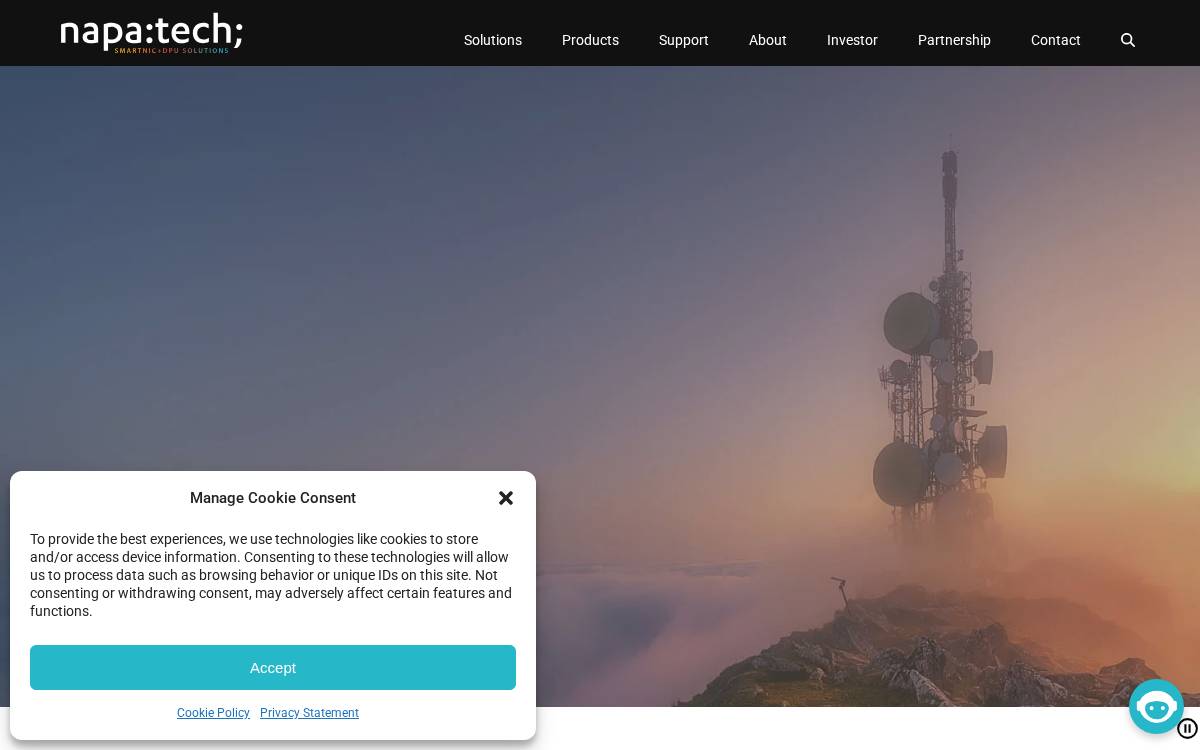 Napatech website preview