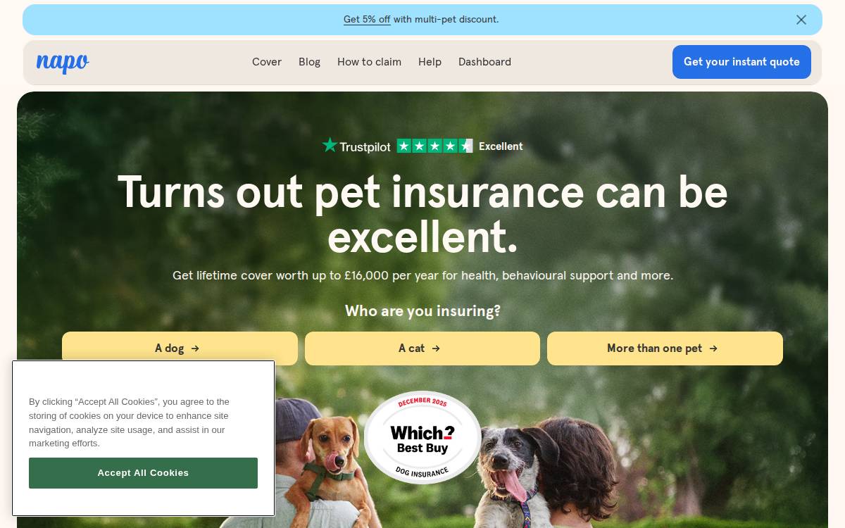 Napo website preview