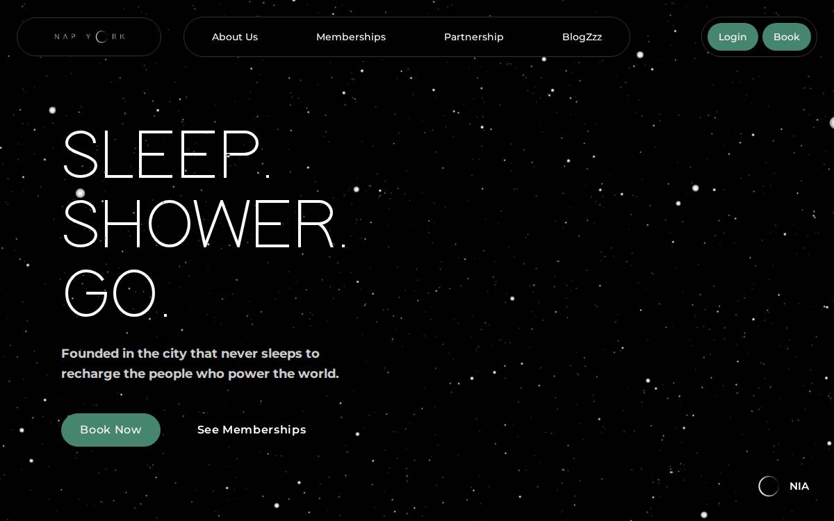 Napyork website preview