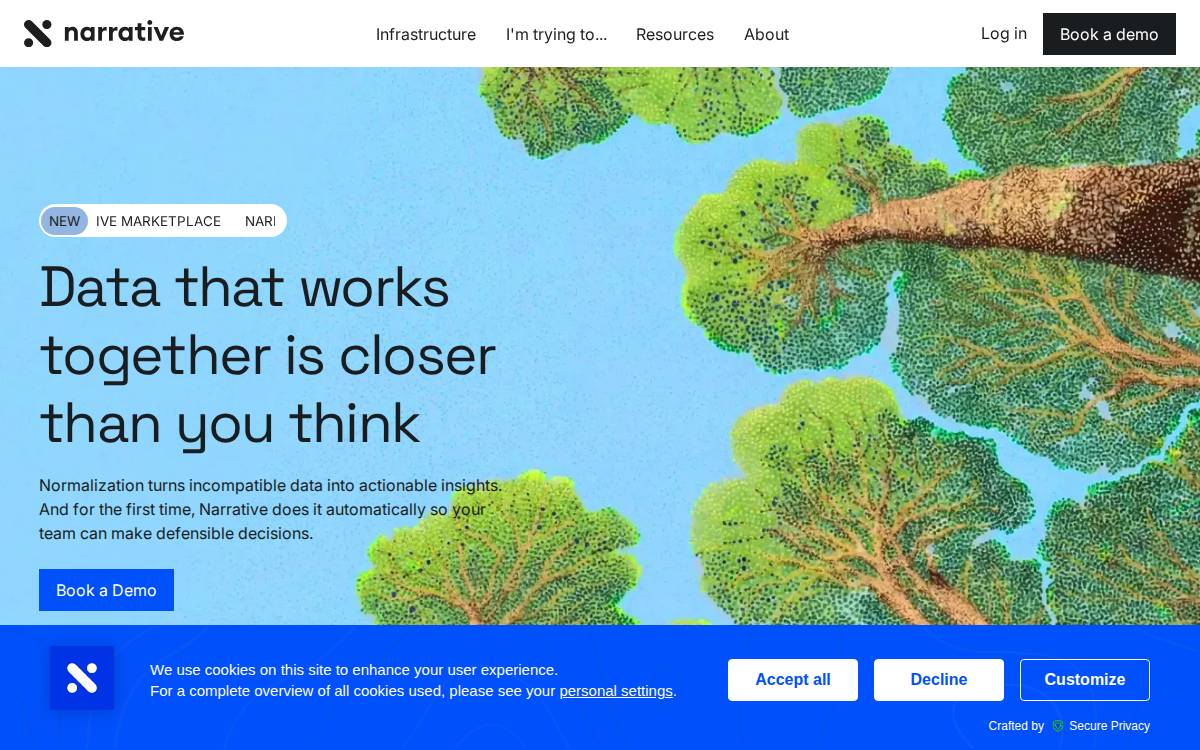 Narrative website preview