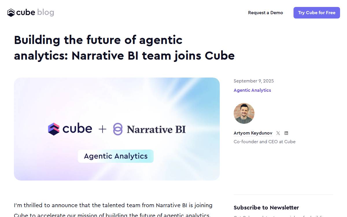 Narrative BI website preview