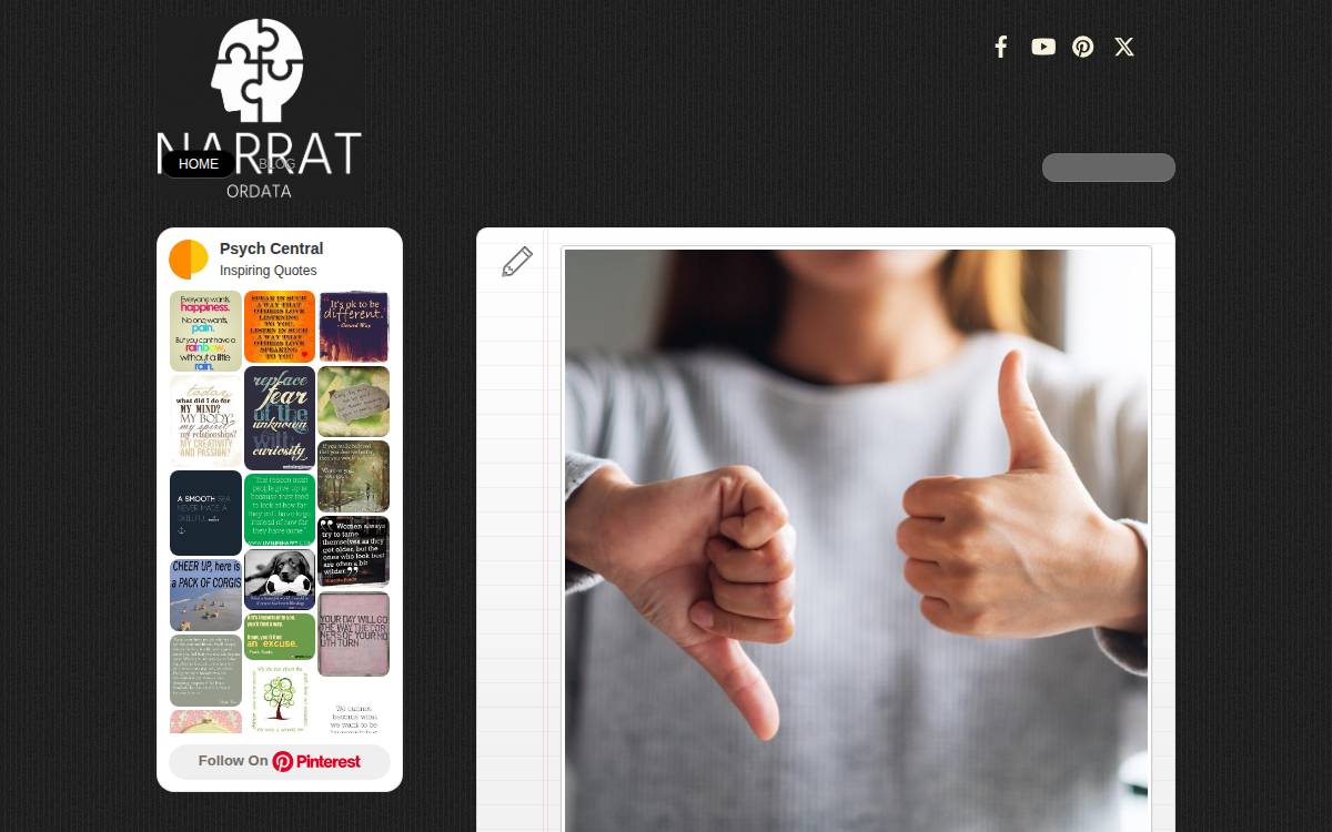Narrator website preview