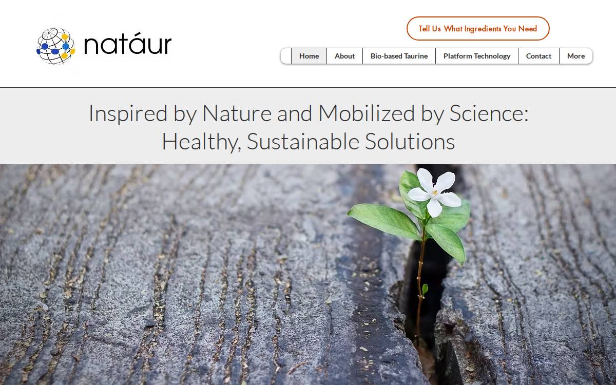 Nataur website preview