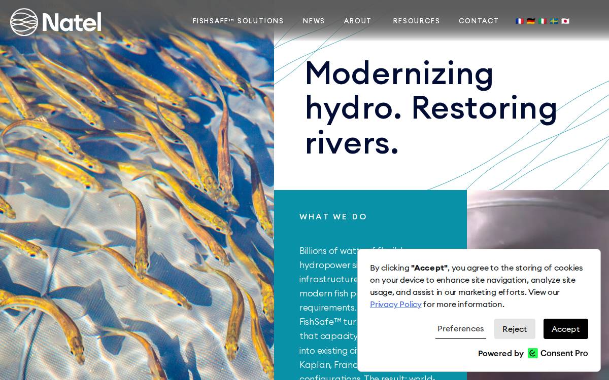 Natel Energy website preview