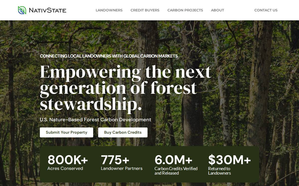 NativState website preview
