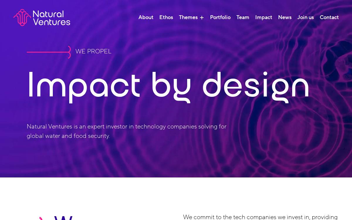 Natural Ventures website preview