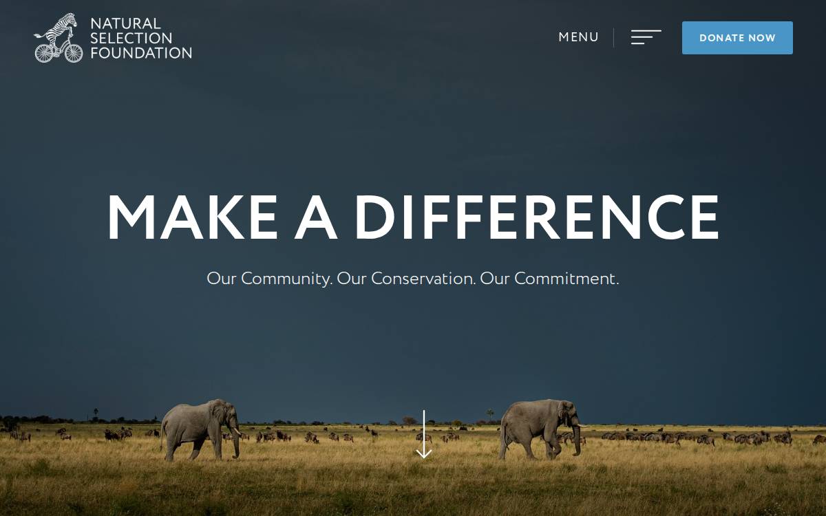 Naturalselectionfoundation website preview