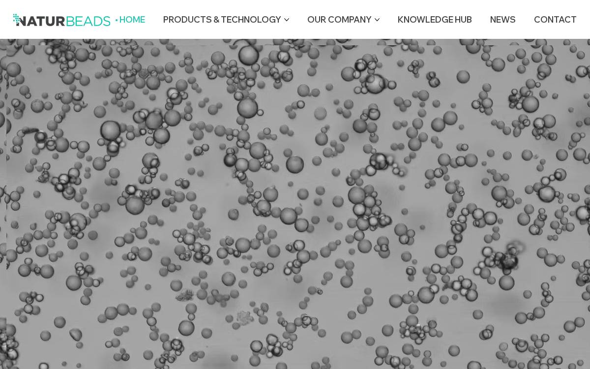 Naturbeads website preview