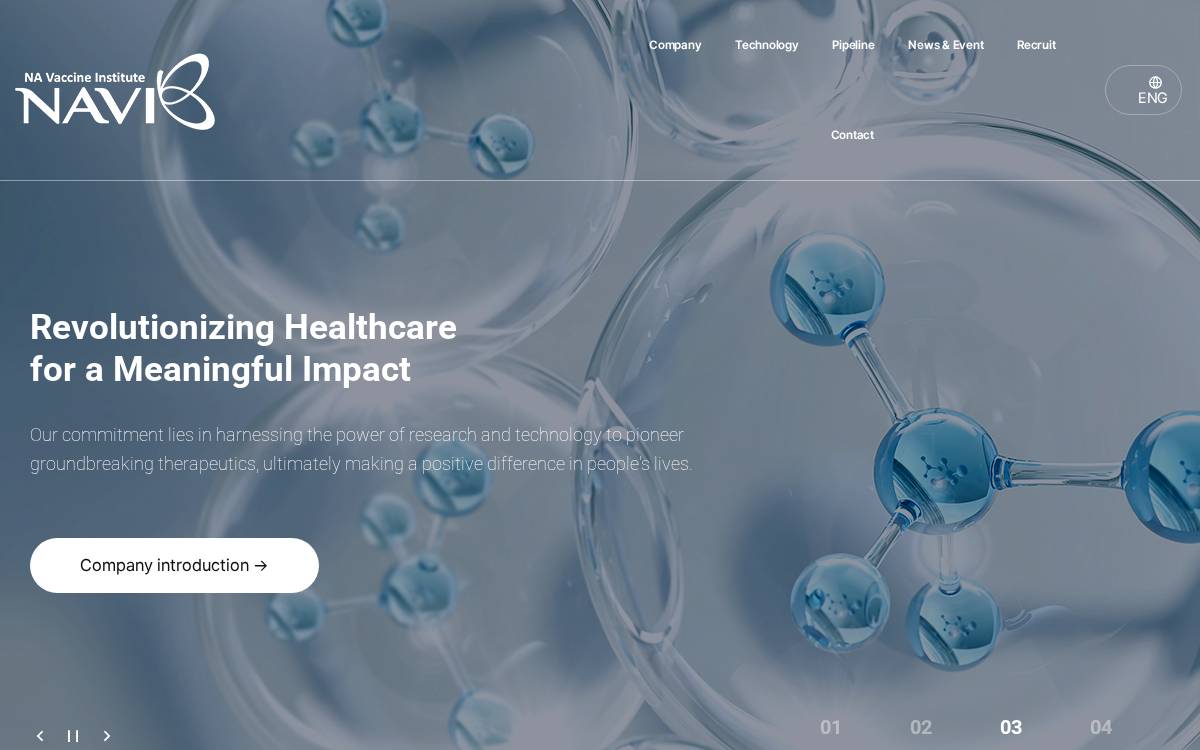 NAV website preview
