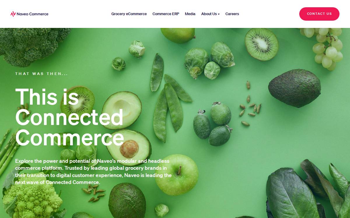 Naveo Commerce website preview