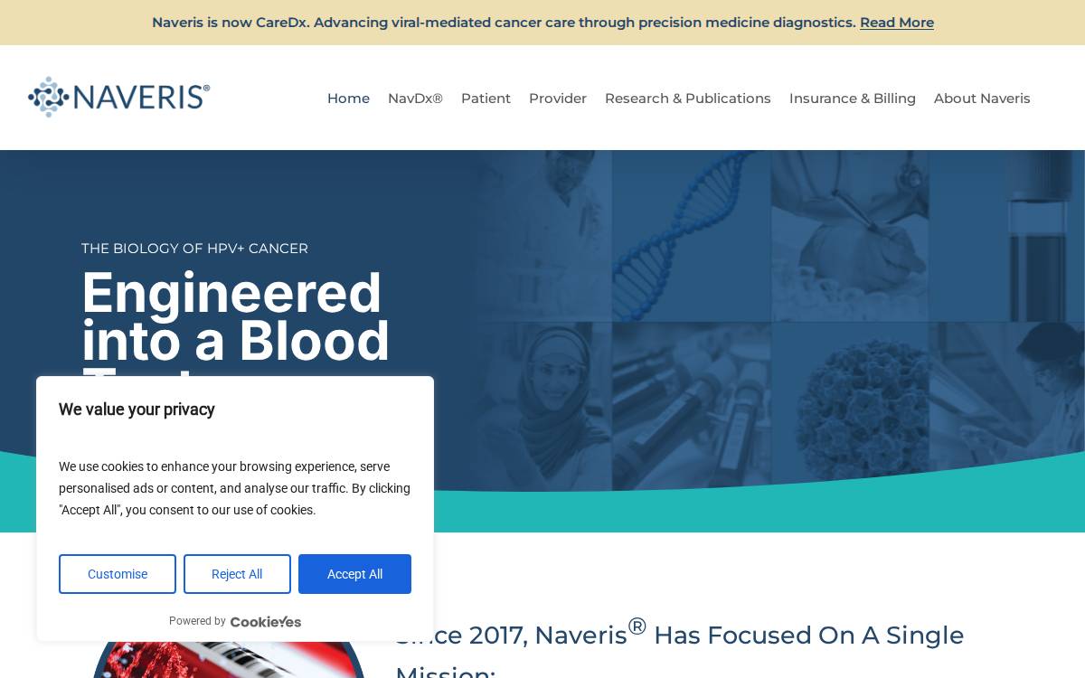 Naveris website preview