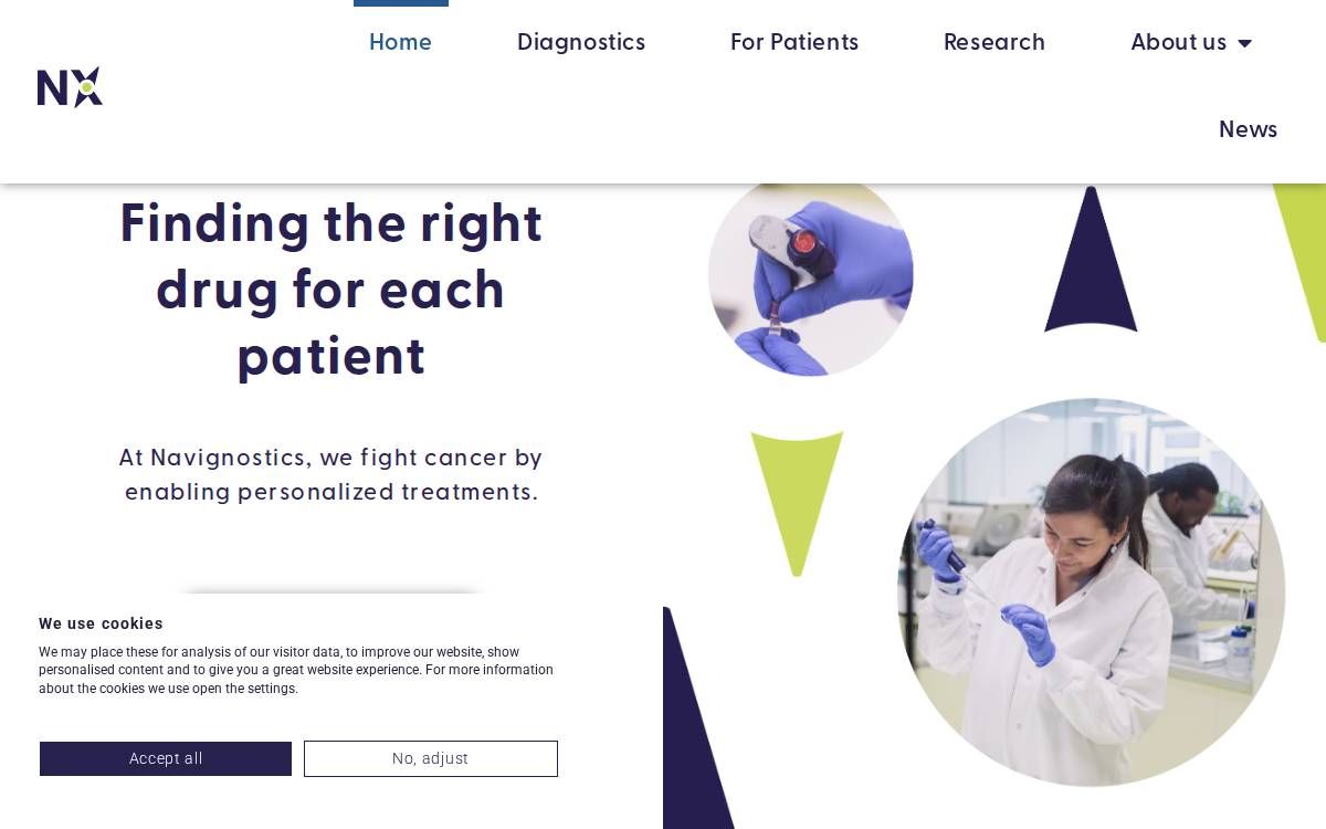 Navignostics website preview