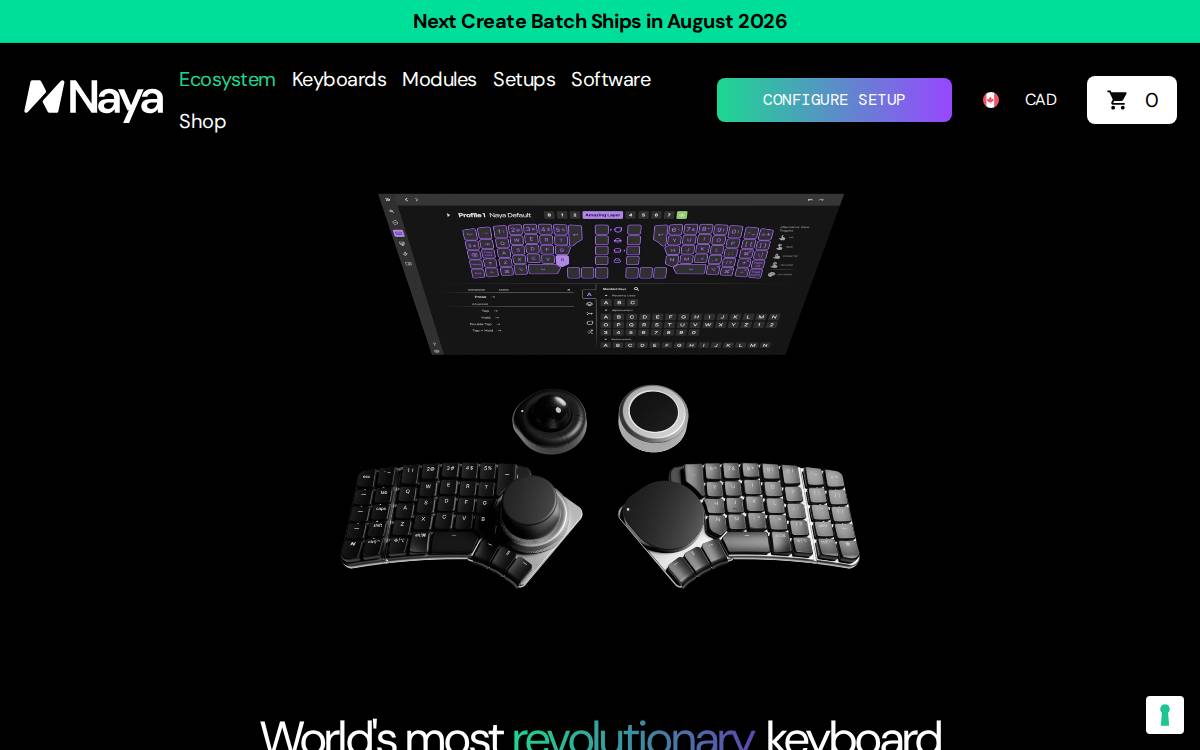 Naya website preview