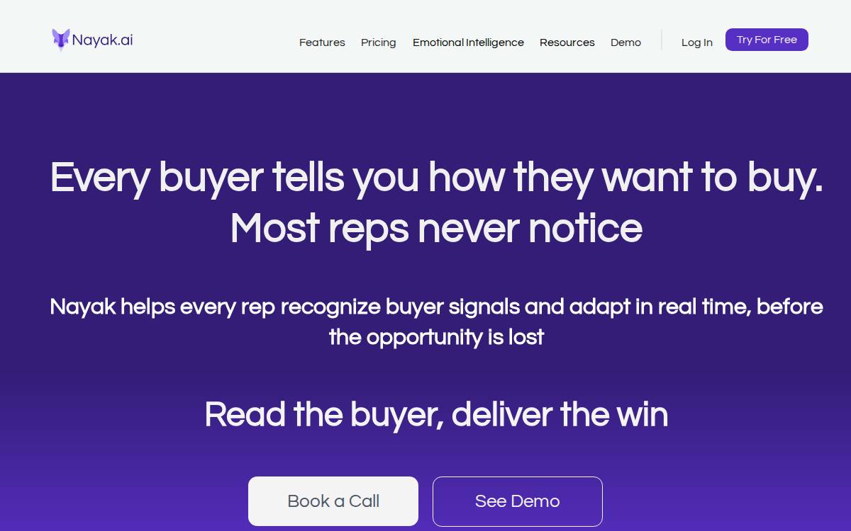 Nayak.ai website preview