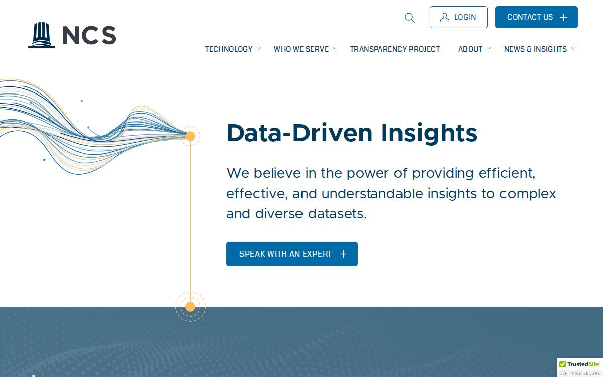 Ncs Analytics website preview