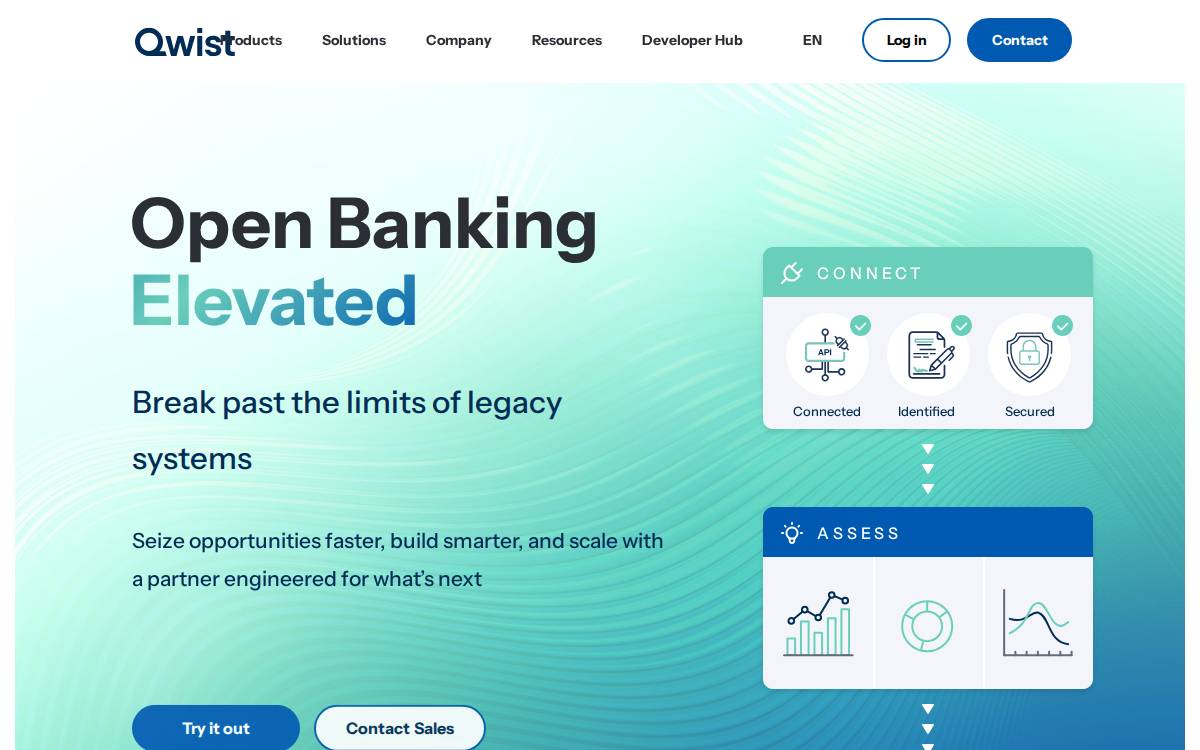 NDIGIT website preview