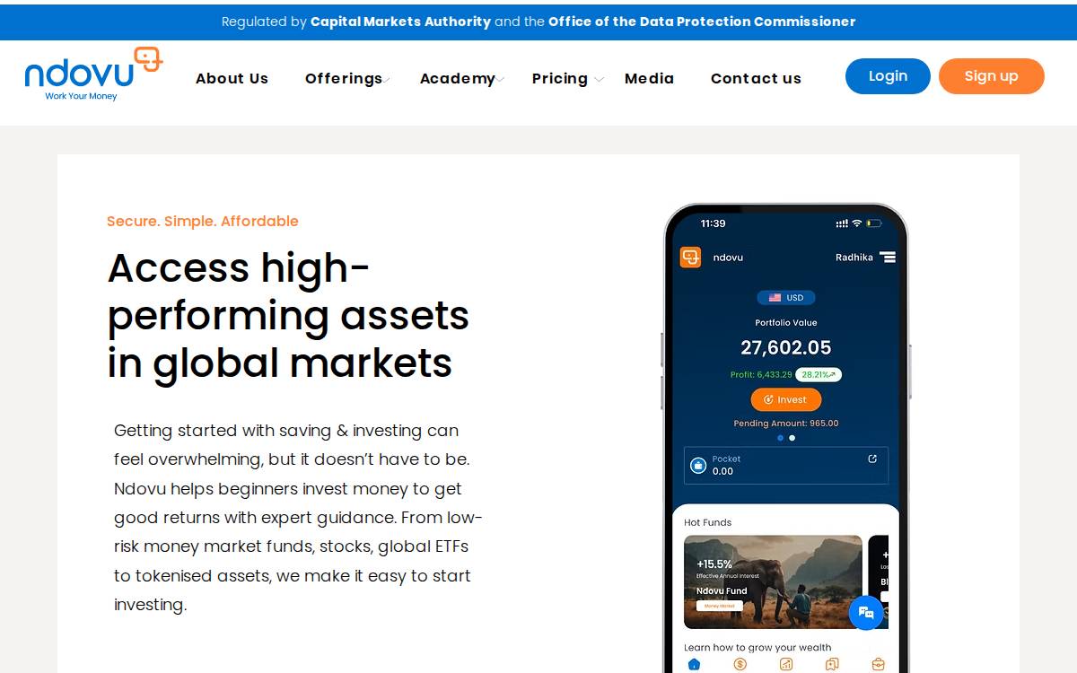 Ndovu website preview