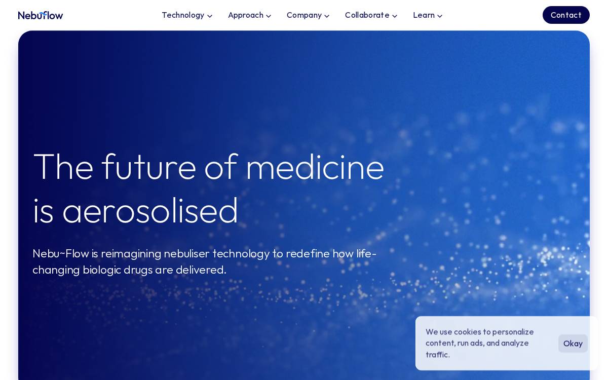 Nebuflow website preview