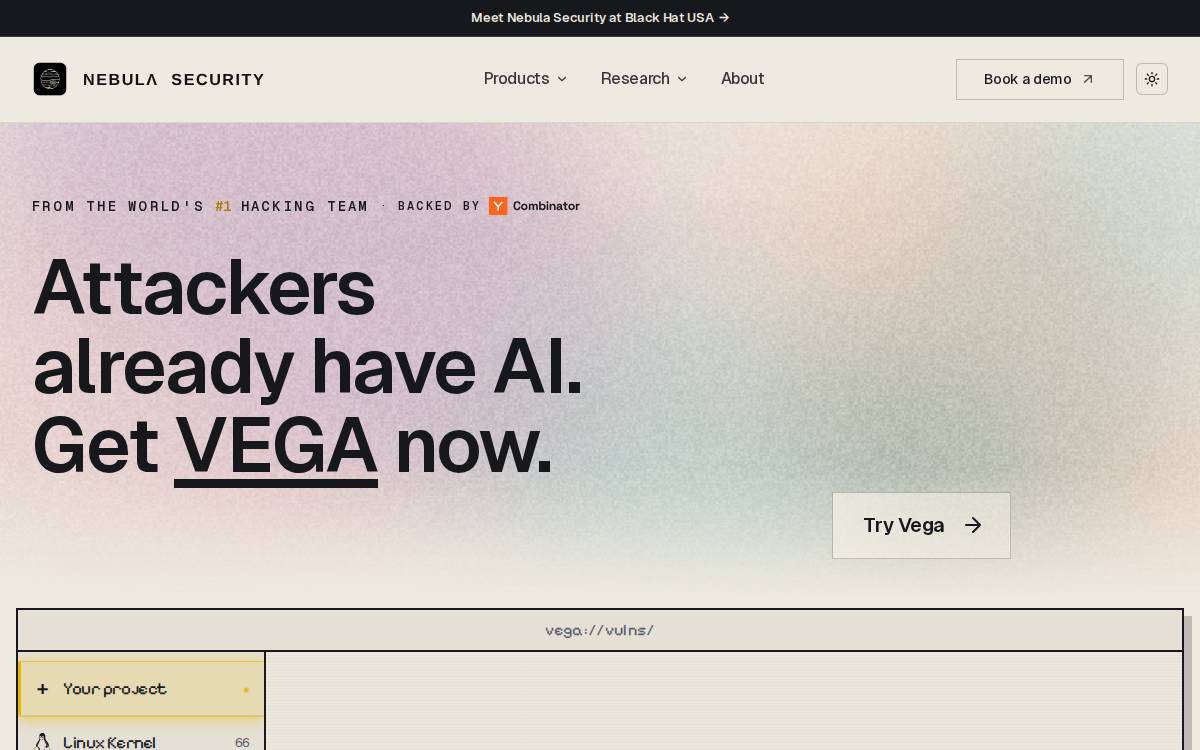 Nebula Security website preview