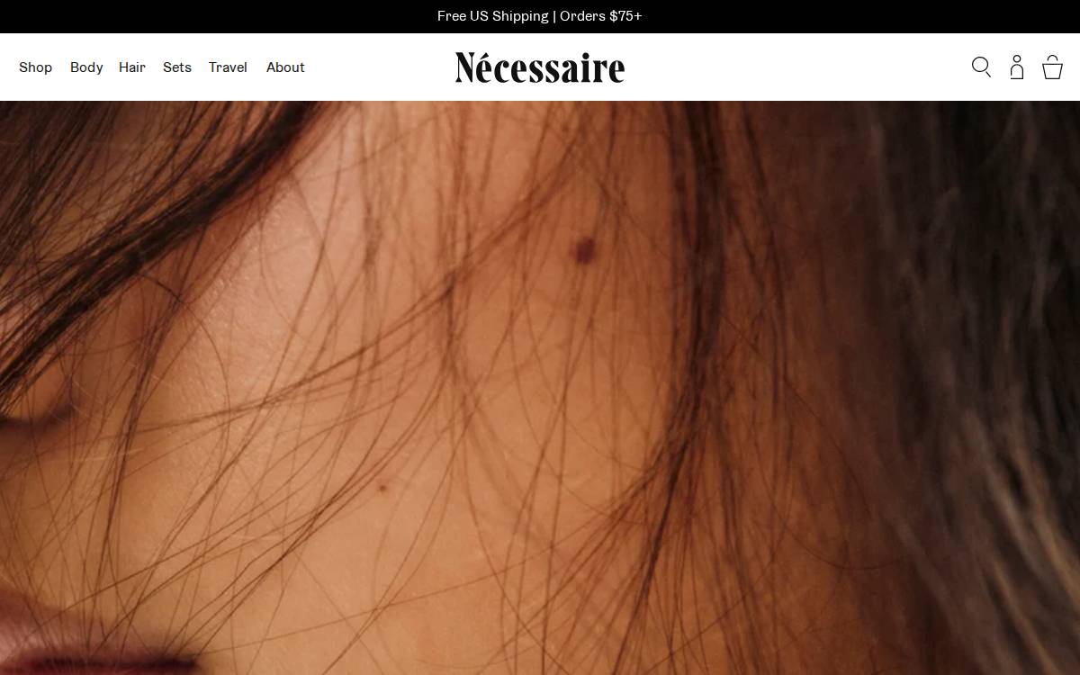Necessaire website preview