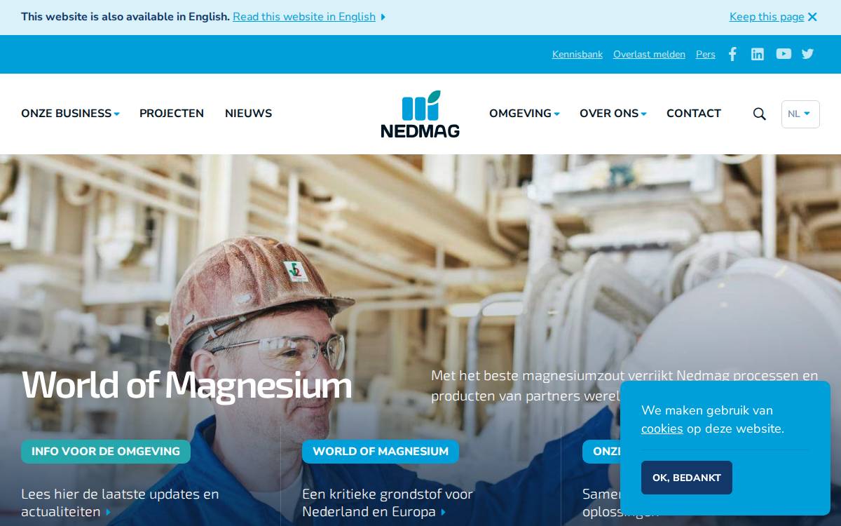 Nedmag website preview