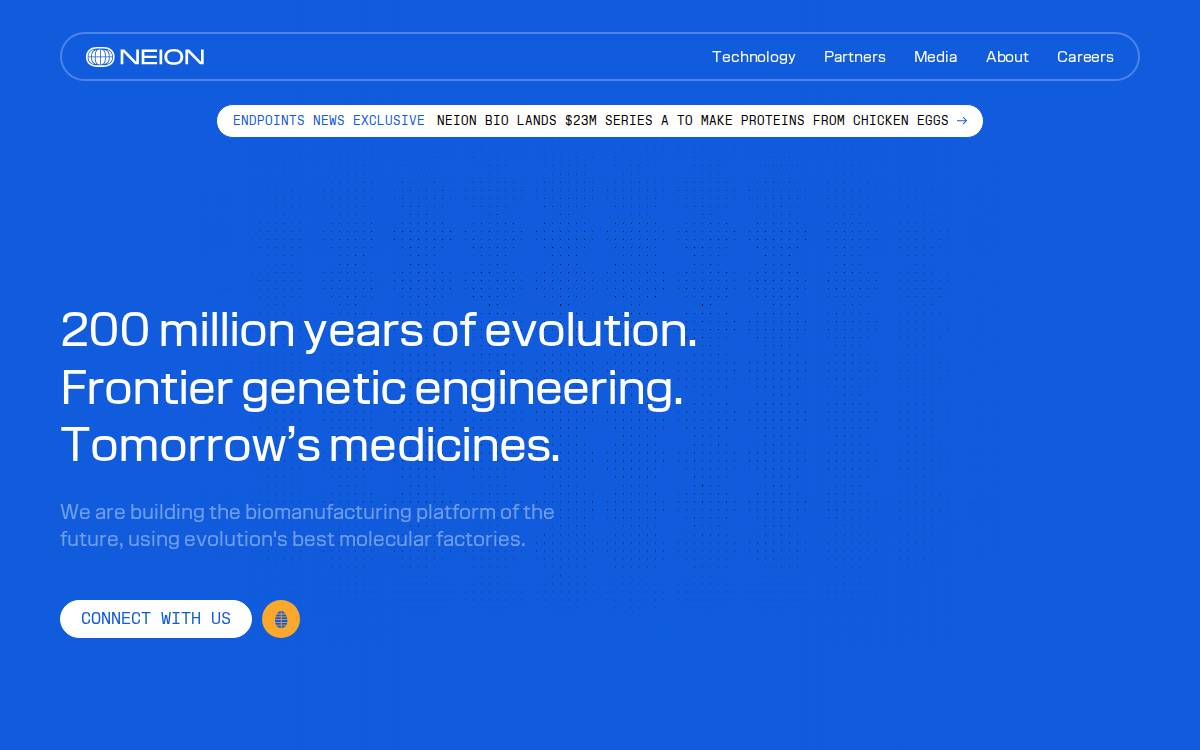 Neion website preview