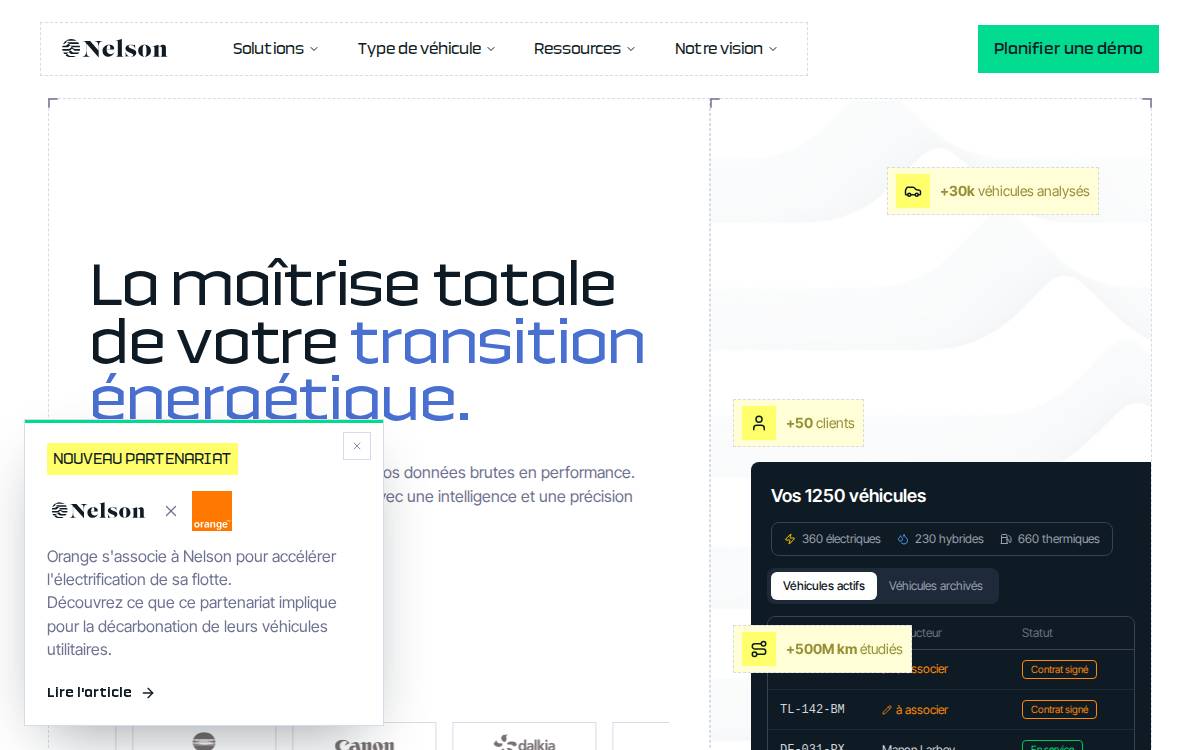 Nelson Mobility website preview