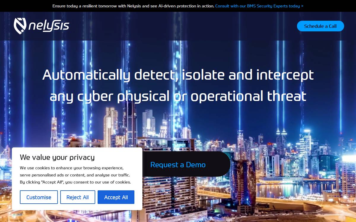 Nelysis website preview
