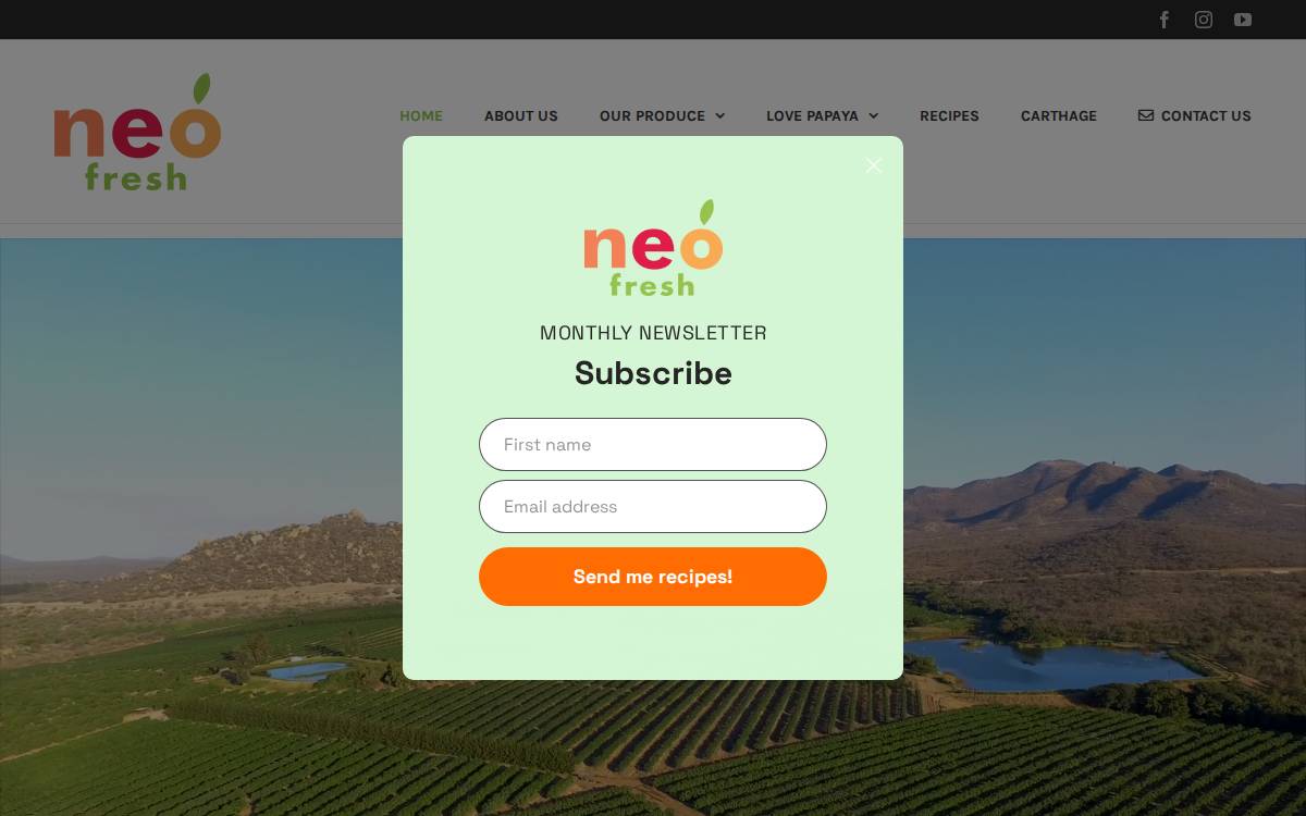 Neofresh website preview