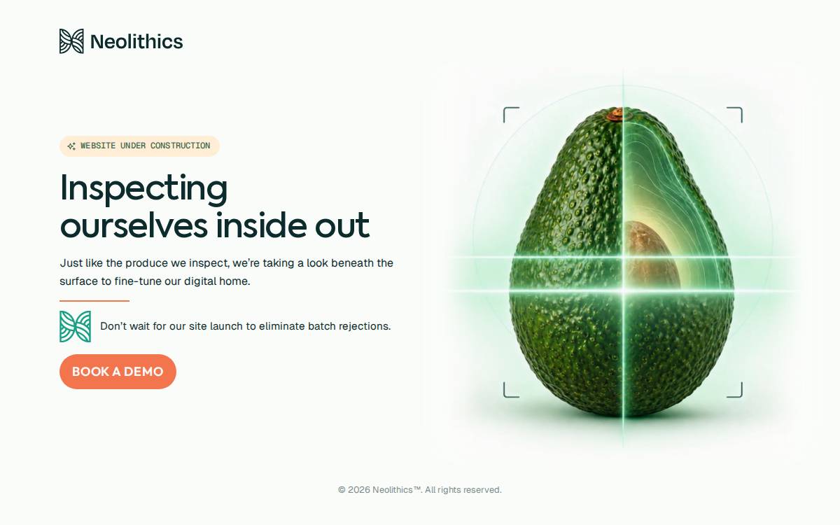Neolithics website preview