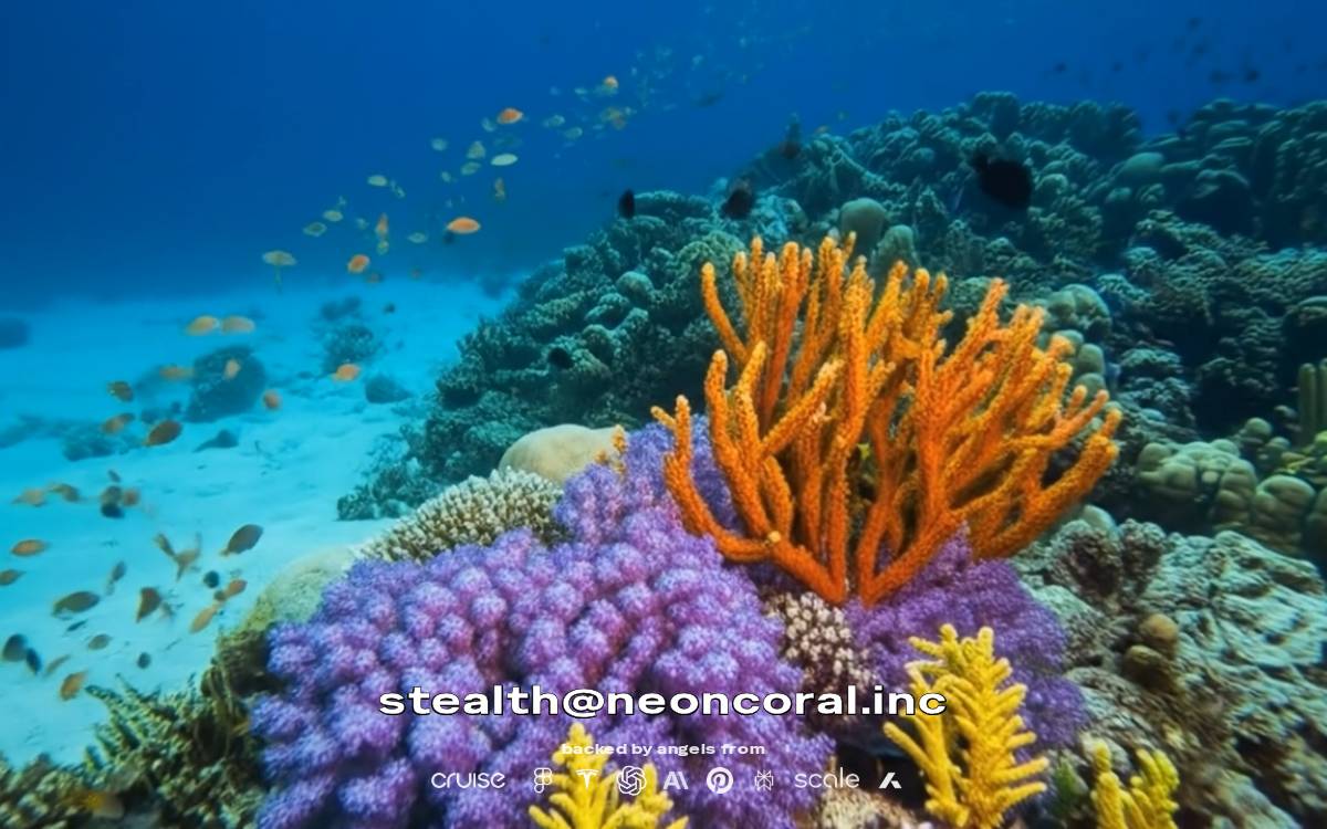 neoncoral website preview