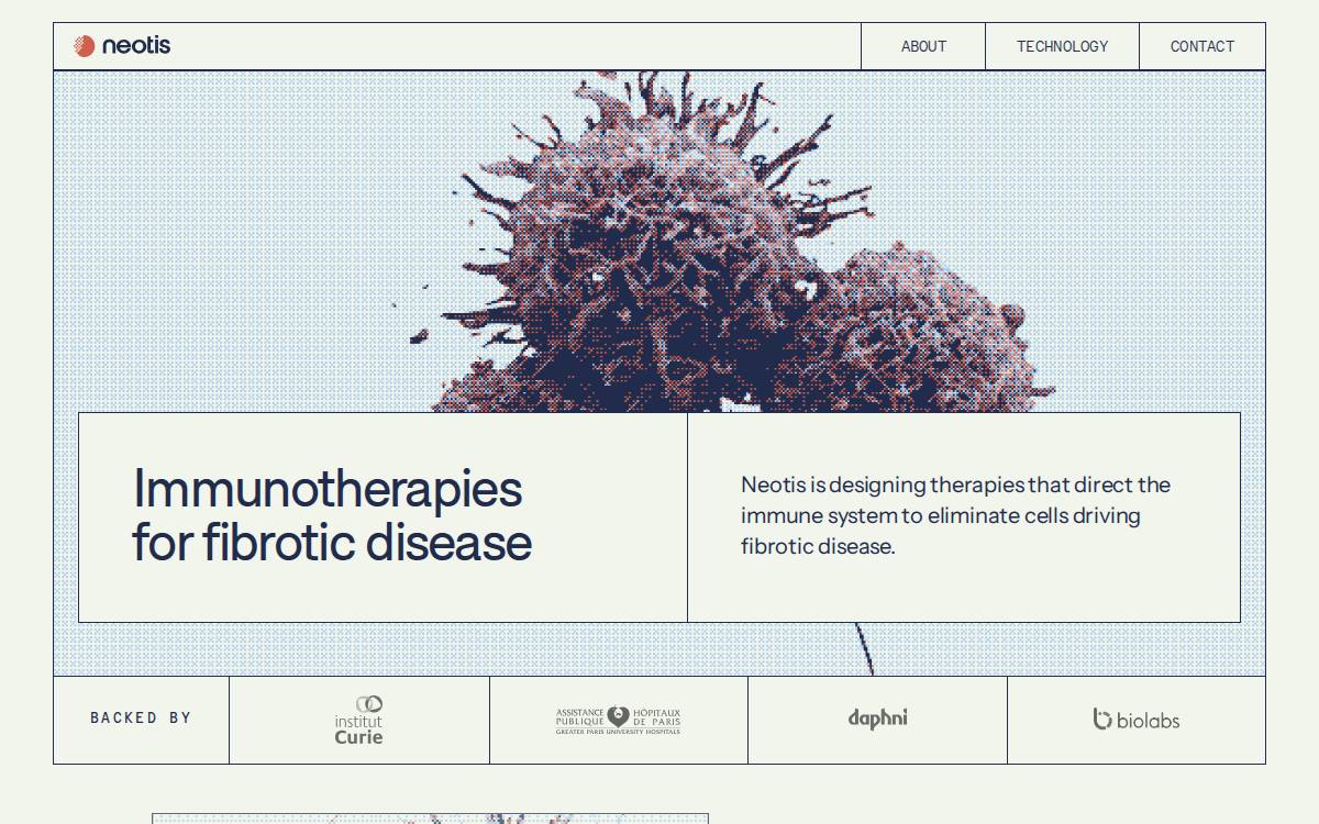 Neotis website preview