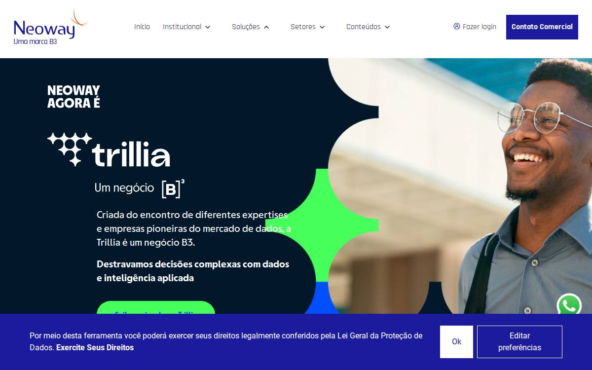 Neoway website preview