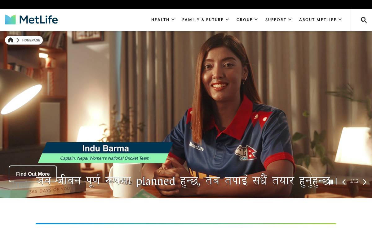 Nepal website preview