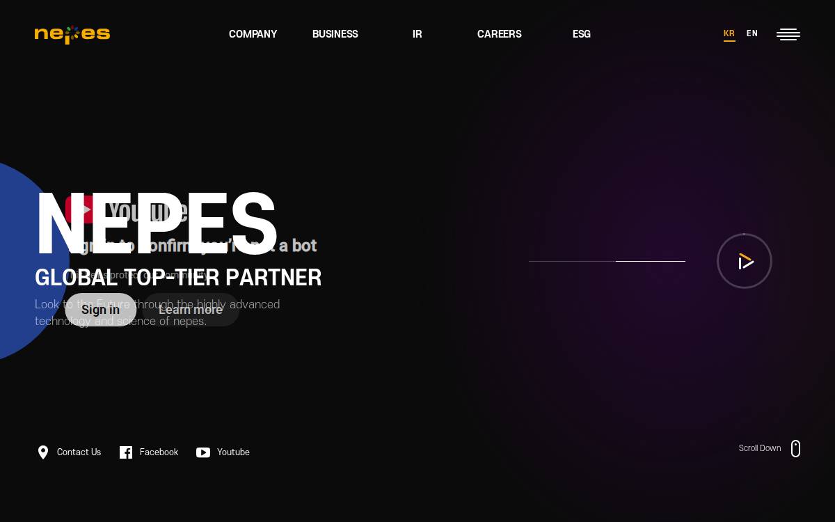 Nepes website preview