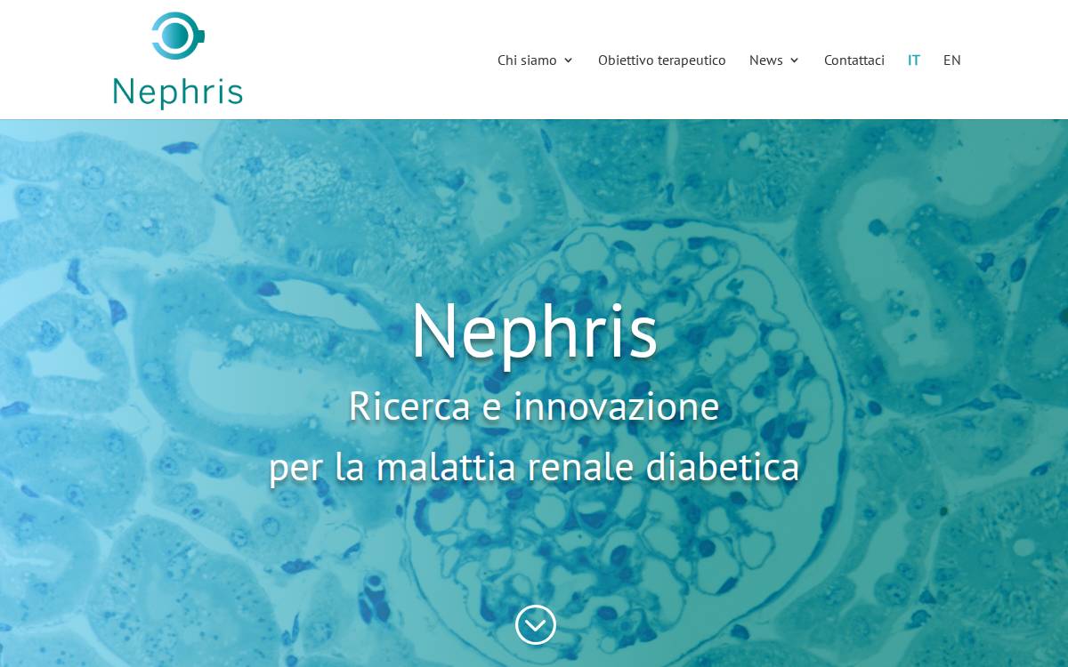 Nephris website preview