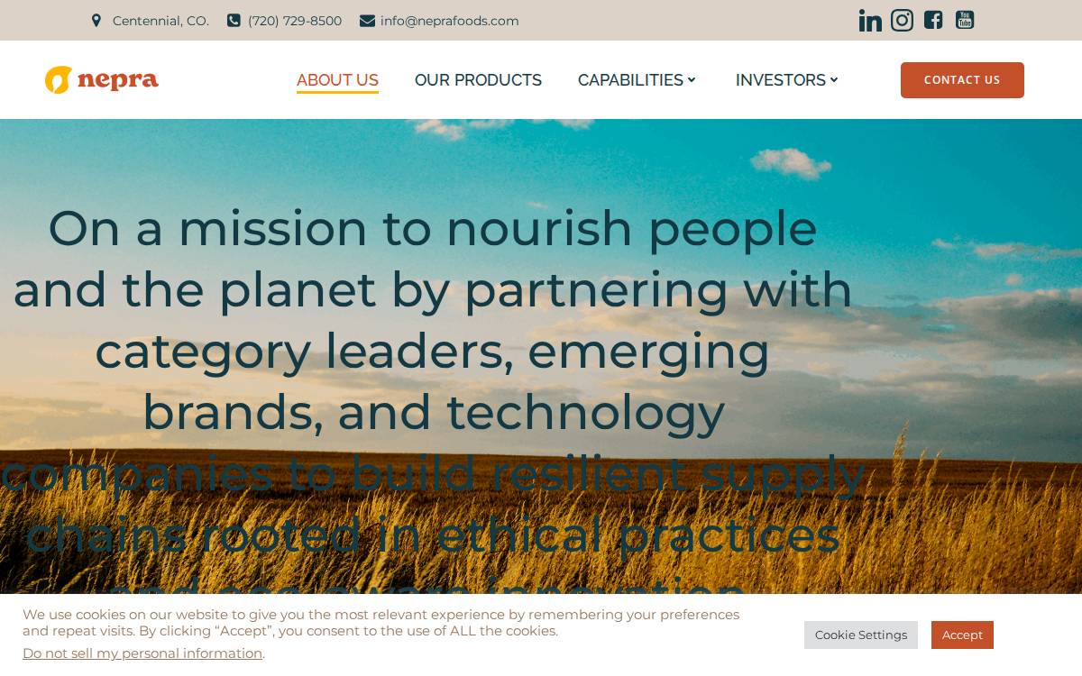 Nepra Foods website preview