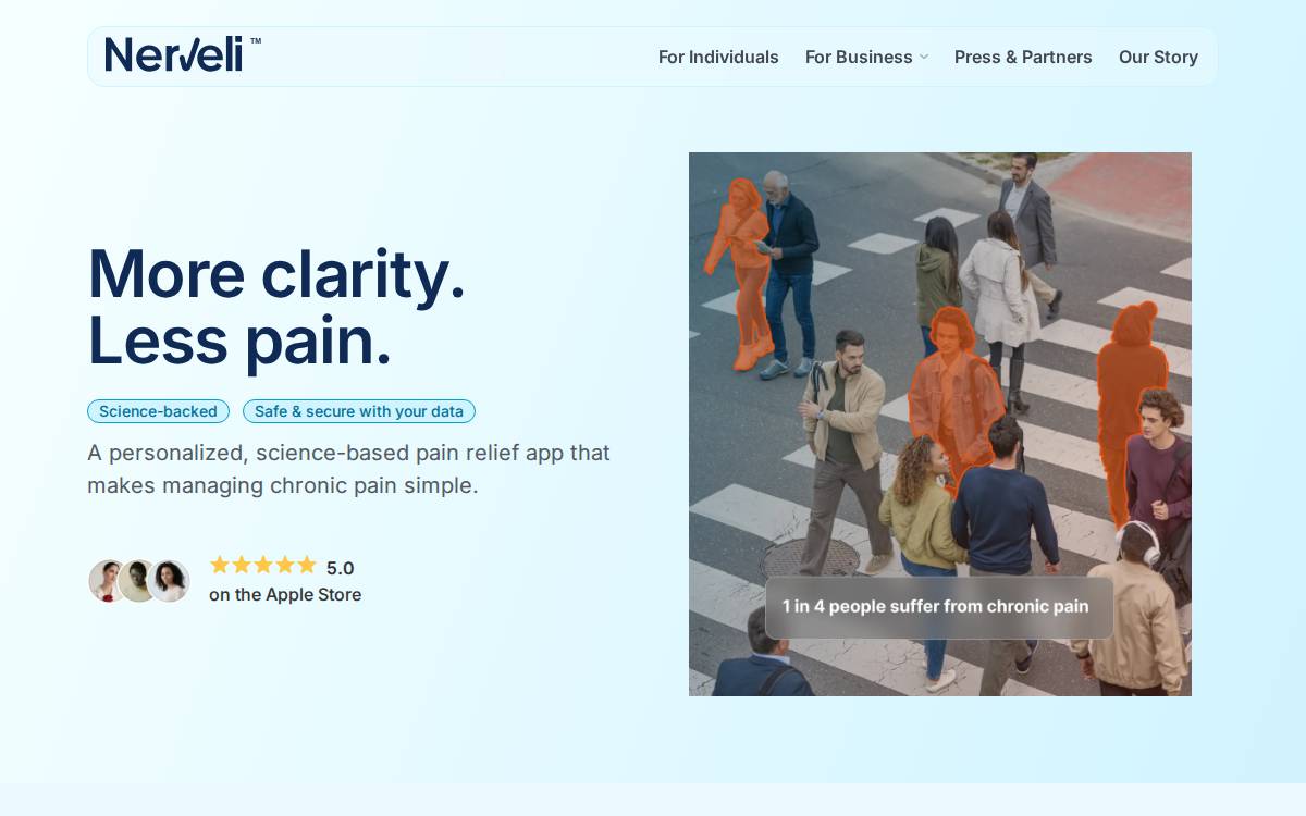 Nerveli website preview
