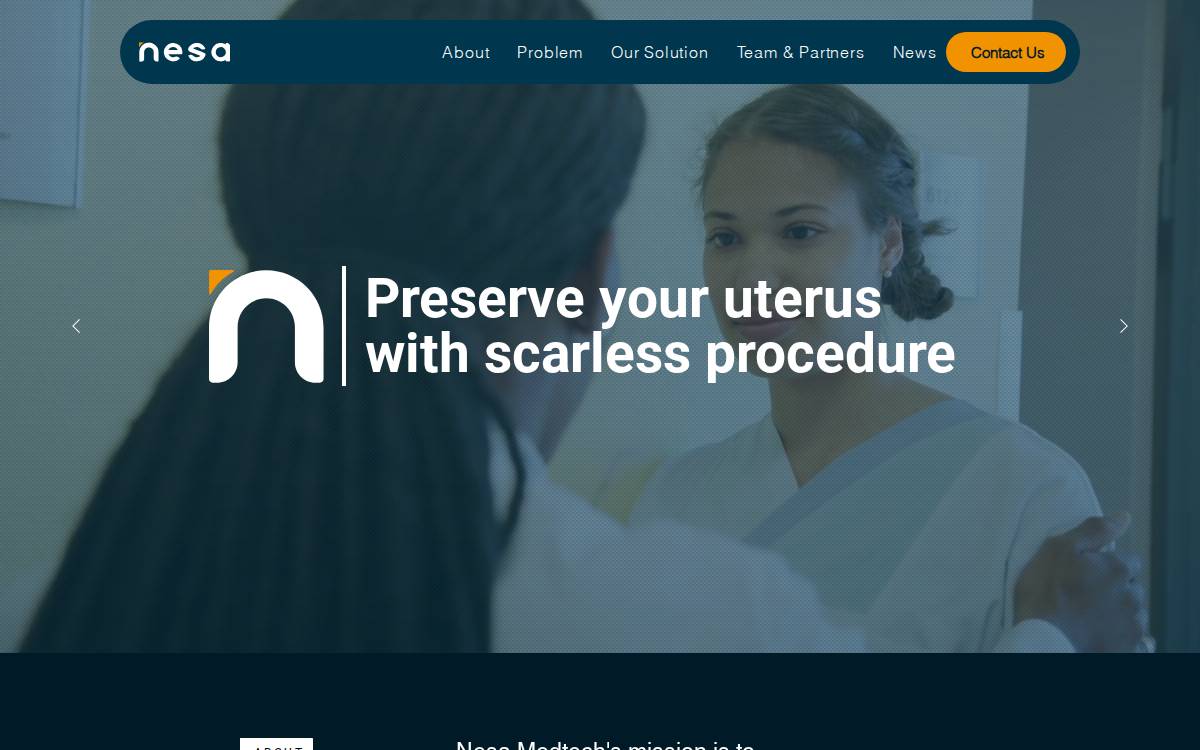 Nesa Medtech website preview