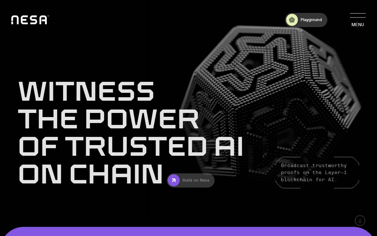 Nesa website preview