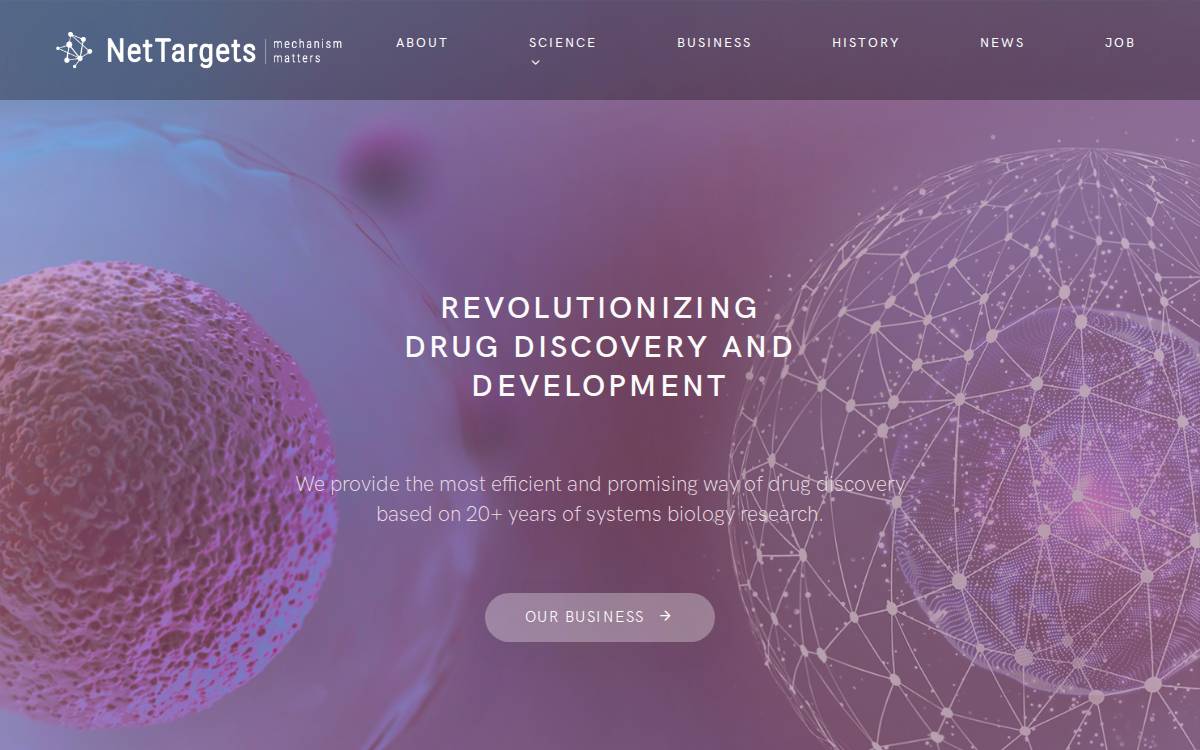 Net Targets website preview
