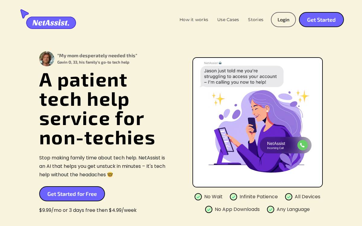 NetAssist website preview