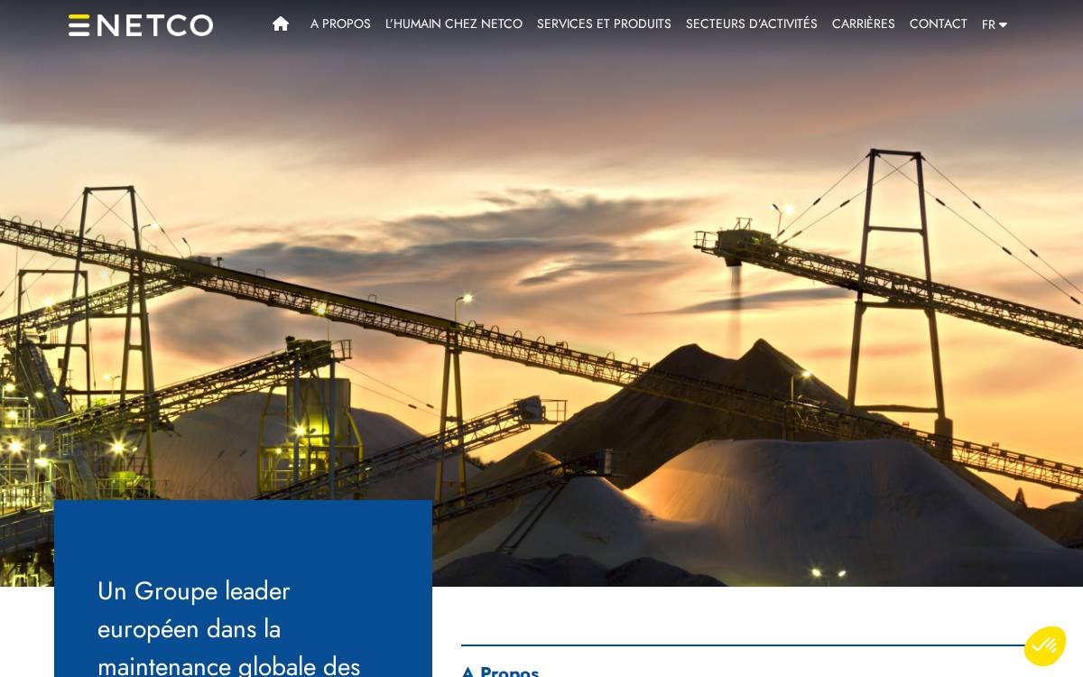 NetCo website preview
