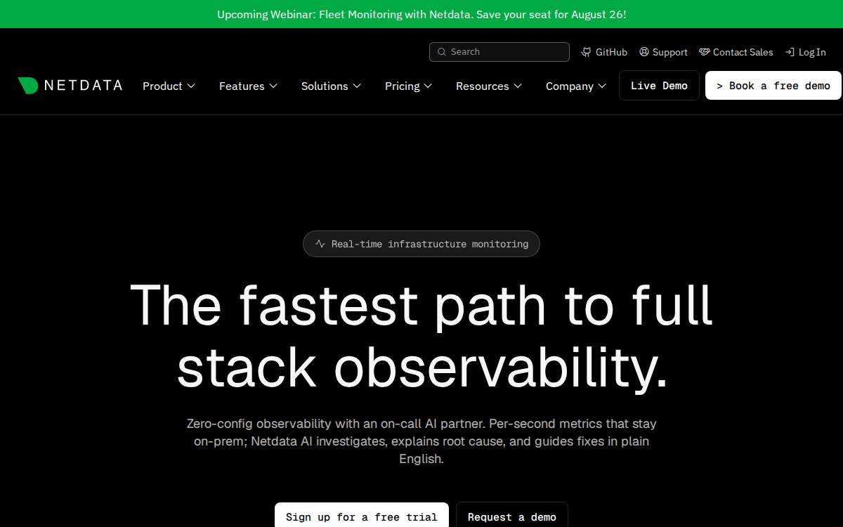 Netdata website preview