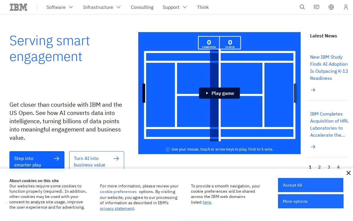 Netezza website preview