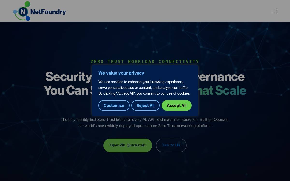 NetFoundry website preview
