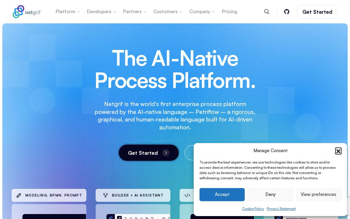 Netgrif website preview